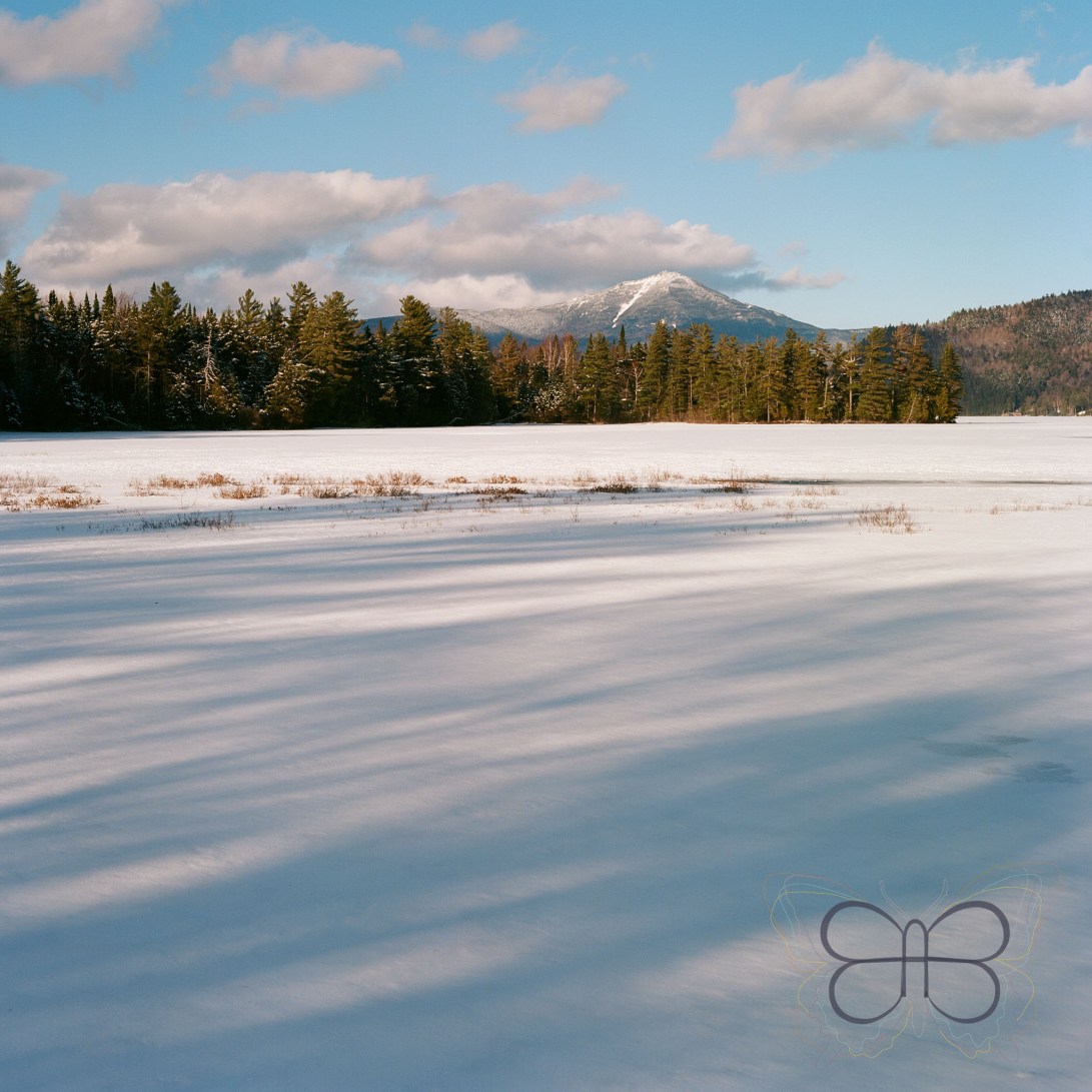 lakeplacid_newyork_logo